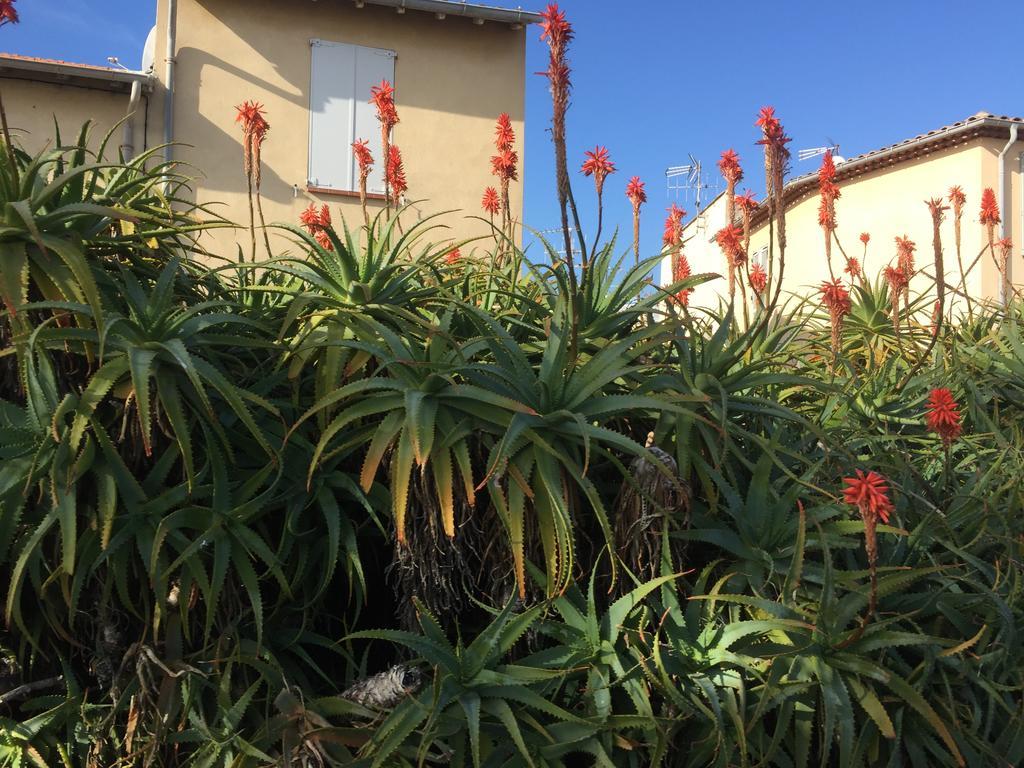 Le Melody Apartamento Antibes Exterior foto